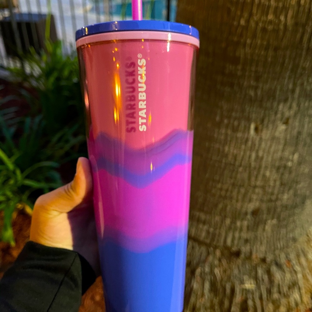 Starbucks Pink Purple Venti Cup Summer 2021